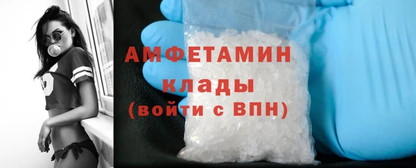 ПСИЛОЦИБИНОВЫЕ ГРИБЫ Кукмор