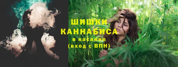 сатива Краснослободск