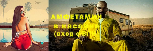 сатива Краснослободск