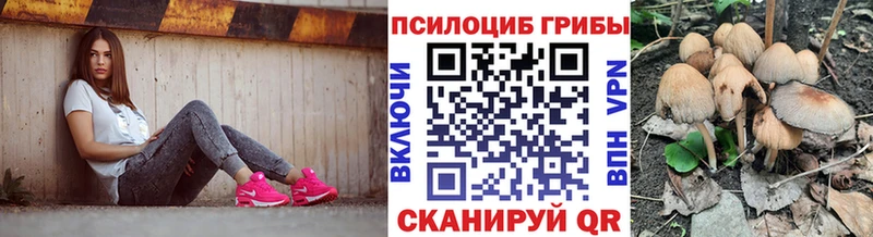 где найти   Красноуральск  гидра как зайти  Псилоцибиновые грибы мухоморы 